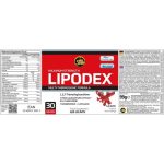 VQXnCQdwxuutTWM6lp3Y